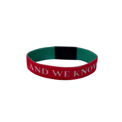 AWK Interactive Scripture Wristbands (Available in Multiple Colors) - Christmas, M